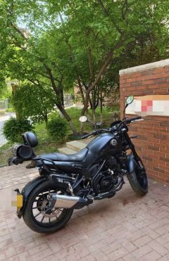Benelli Young Lion Leoncino 250 - ფოტო 4