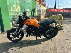 Sundiro Honda CBF190TR - ფოტო 3