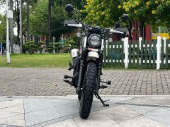 Honda CL300 - фото 2