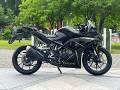 Kayo 250RR Thornbird - ფოტო 4