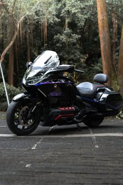 Honda Gold Wing GL1800 - ფოტო 1