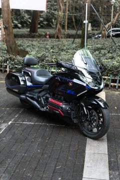 Honda Gold Wing GL1800 - ფოტო 3