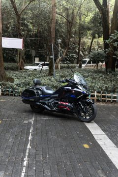 Honda Gold Wing GL1800 - ფოტო 4