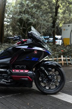 Honda Gold Wing GL1800 - ფოტო 5