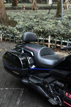 Honda Gold Wing GL1800 - ფოტო 9