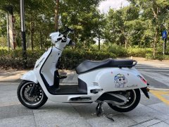 Sundiro Honda NS150LA - ფოტო 6
