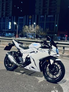 Haojue Suzuki GSX250R - фото 10