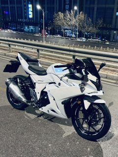 Haojue Suzuki GSX250R - фото 6