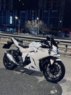 Haojue Suzuki GSX250R - фото 9