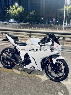 Haojue Suzuki GSX250R - ფოტო 8