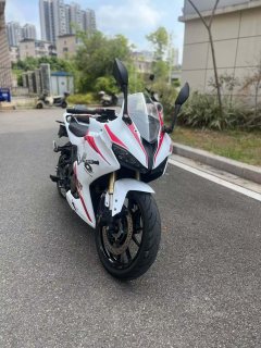 QJMOTOR 250 - ფოტო 2