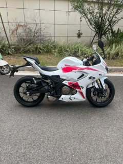 QJMOTOR 250 - ფოტო 4