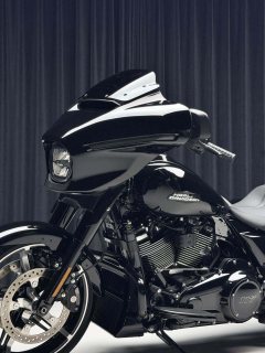 Harley-Davidson Street Glide 1923 cc - ფოტო 8