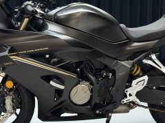 QJMOTOR Race 800 - ფოტო 5