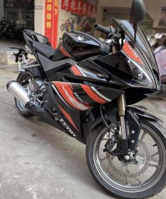 Feiying R25 250 cc - ფოტო 4