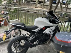 Kayo 250RR Thornbird - ფოტო 2