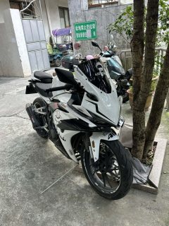 Kayo 250RR Thornbird - ფოტო 3