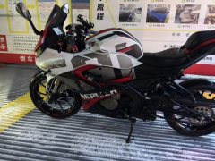 QJMOTOR SRK 250 - фото 3