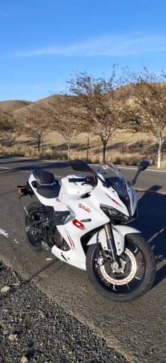 QJMOTOR SRK 250 - фото 1