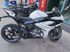 CFMOTO 250SR - ფოტო 3