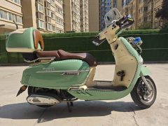 Weiduoliya Sixties 150Si - ფოტო 2