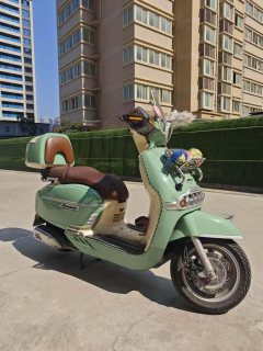 Weiduoliya Sixties 150Si - ფოტო 3