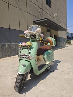 Weiduoliya Sixties 150Si - ფოტო 4