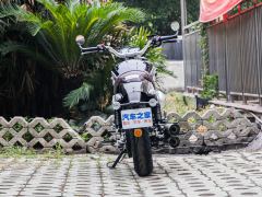 Jueshijie DX250 - фото 7