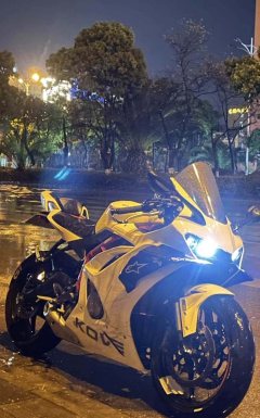 Kayo 450RR - ფოტო 3