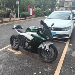 QJMOTOR SRK 250 - фото 1