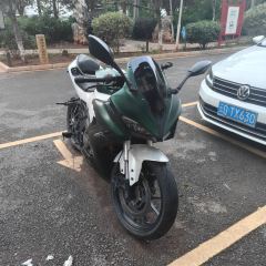 QJMOTOR SRK 250 - фото 2
