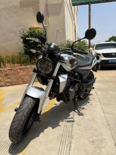 Harley-Davidson X 350 - ფოტო 3