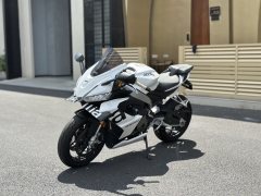 Aprilia RS 660 - photo 2