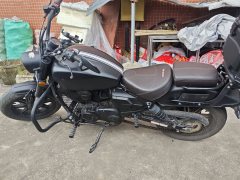 Longjia V-track 250 - ფოტო 9