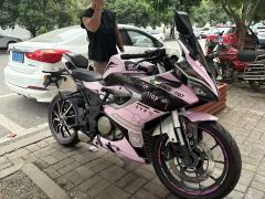 QJMOTOR SRK 250 - ფოტო 1