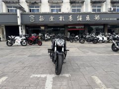 QJMOTOR 350 - ფოტო 4