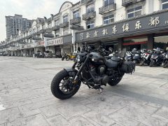 Benda Chinchilla 500 - photo 3