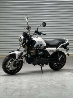 Yingang 150 cc - ფოტო 5