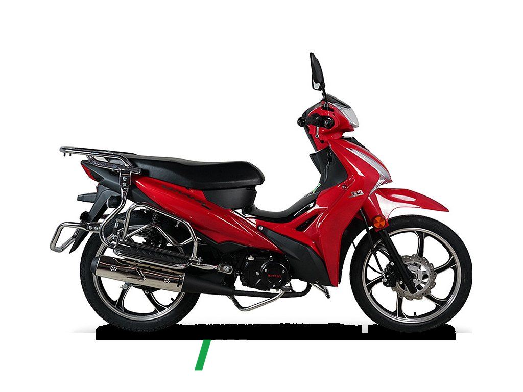 2021 Wuyang Triumph 110 cc