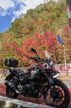 Haojue Suzuki DL250 - ფოტო 1