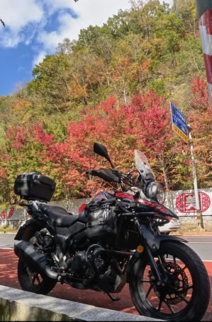 2021 Haojue Suzuki DL250