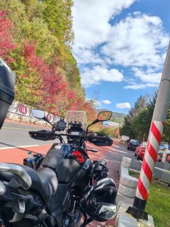 Haojue Suzuki DL250 - ფოტო 4
