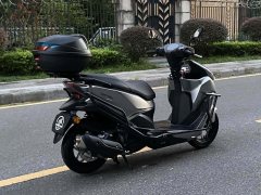 QJMOTOR 150RS - фото 7