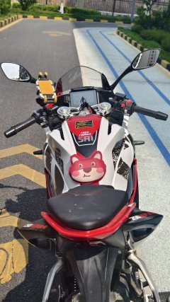 QJMOTOR SRK 250 - ფოტო 6