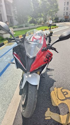 QJMOTOR SRK 250 - ფოტო 8