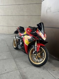 Kayo 321RR 320 cc - фото 1