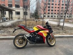 Kayo 321RR 320 cc - фото 2