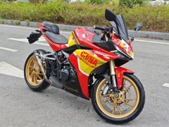 Kayo 321RR 320 cc - фото 5