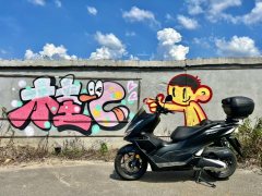 Wuyang Honda PCX 160 cc - ფოტო 1