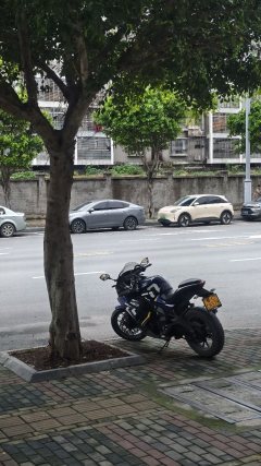 Tairong GP1-250R - ფოტო 2